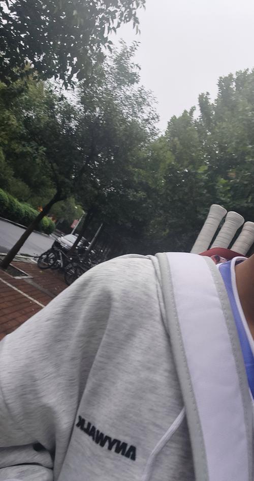 过于看到皇